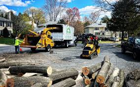 Fruit Heights, UT Tree Care  Company